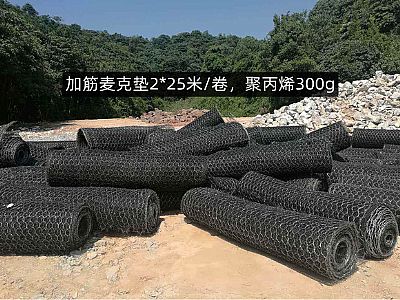 加筋麥克墊網(wǎng)格8*10cm,聚丙烯質(zhì)量300g,多少錢，怎么賣？